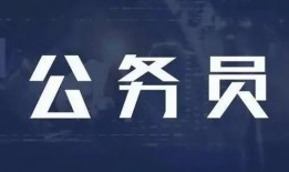 美国公务员爆料新闻视频,揭秘政府内部惊人真相