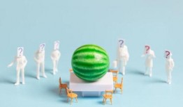 免费吃瓜最新爆料网址大全,揭秘最新爆料网址大全