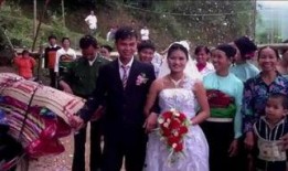 河内新娘在线观看,跨国爱情故事，揭秘越南新娘的婚姻生活