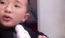 小菲菲被大哥爆料视频,小菲菲神秘事件引热议
