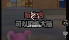 神秘熊猫人爆料视频下载,探寻不为人知的秘密世界