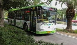 金龙公交车爆料视频大全,揭秘行业内幕与真实故事