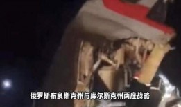 大鹅爆料间谍视频在线观看,间谍视频在线观看，揭秘神秘情报行动