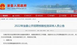 河南新闻爆料的网红,河南网红爆料引发热议