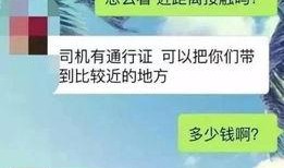 cs2通行证最新爆料