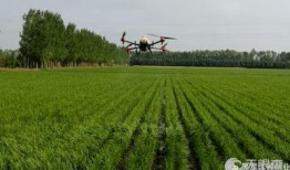 黑龙江农场爆料视频最新,揭秘神秘农业生态圈