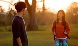 等风来在线观看,一场关于成长与梦想的青春盛宴