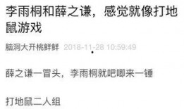 小凌的吃瓜日记免费阅读,揭秘娱乐圈幕后故事