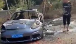 豪车店老板爆料汽车视频,老板亲曝顶级汽车内部细节与性能表现