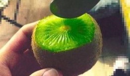抖音网红吃瓜水果,一场视觉与味蕾的双重盛宴
