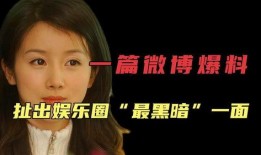 娱乐圈资料爆料,揭秘明星背后的惊人真相！