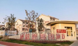 吃瓜论坛社区网红,揭秘吃瓜论坛社区网红背后的故事