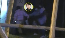 爆料明星恋爱细节视频大全,视频大全背后的甜蜜瞬间