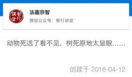 新闻爆料文字怎么写的,深度解析事件背后真相