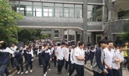杭州学校爆料事件最新,揭秘校园安全与教育监管的隐忧