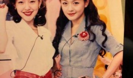 小s爆料大s婚礼视频在哪看,小s独家爆料观看途径