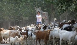 大驴的最新视频爆料,揭秘幕后真相，带你走进事件核心