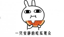 热门吃瓜免费观看,免费观看，一网打尽全网热点！