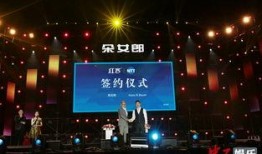 石家庄演唱会爆料视频,精彩瞬间集锦曝光