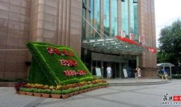 武汉医学院爆料新闻,重大医疗事件引发社会关注