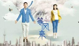 等风来在线观看,一场关于成长与梦想的青春盛宴