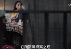 花姐爆料三个孩子的视频,三个孩子成长瞬间，温馨视频感动网友