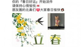 小凌的吃瓜日记免费阅读,揭秘娱乐圈幕后故事