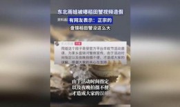 盘锦网友爆料视频大全集,揭秘生活百态，展现人间真情