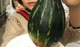 网红吃的什么蒸瓜好吃,揭秘蒸瓜新吃法，美味又营养！