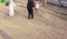 网友爆料泼粪视频大全集,惊悚泼粪事件视频大全集