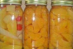 水果罐头爆料怎么做视频,揭秘视频制作全攻略