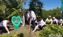 黑龙江农场爆料视频最新,揭秘神秘农业生态圈