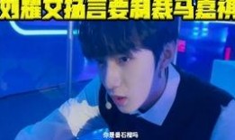 队友爆料刘耀文视频,队友爆料背后的真相揭秘