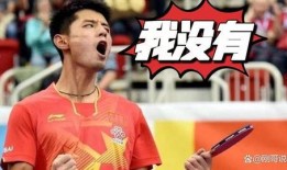 爆料张继科的视频,揭秘赛场背后的真实故事