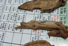 网友爆料鸭脖视频大全集,鸭脖视频大全集，揭秘美食背后的故事