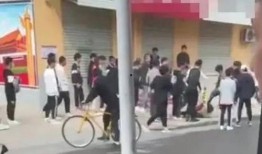 杭州学校爆料事件最新,揭秘校园安全与教育监管的隐忧