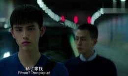 秘果免费全集在线观看,揭秘青春禁忌，探索成长密码