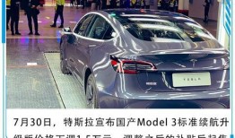 特斯拉高管爆料新闻视频,揭秘公司内部秘密与未来规划