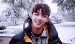 京城爆料吴磊视频播放全集,吴磊视频全集揭秘，精彩瞬间一网打尽