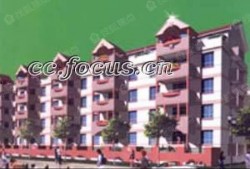 和平花园爆料视频大全下载,揭秘花园里的秘密瞬间