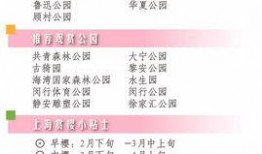 新闻爆料秘籍是什么,掌握信息获取与传播的独家技巧