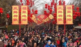 新春园林爆料视频大全播放,视频大全带你领略园林之美