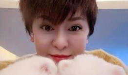 娱乐吃瓜向太郭碧婷,爱情与事业的完美交织