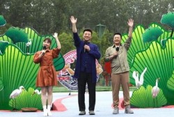 新疆快递员爆料视频最新,揭秘快递行业背后真相